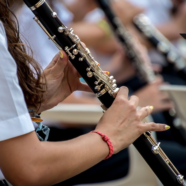 Corso di clarinetto alla Scuola Amadeus